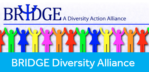 Bridge Diversity Alliance logo.
