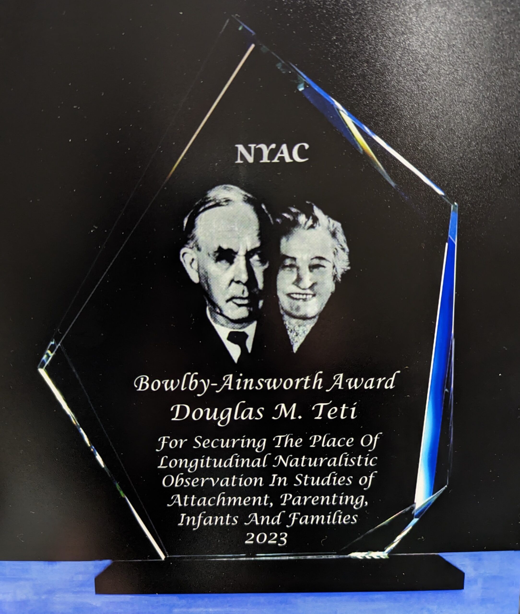 Bowlby-Ainsworth Award